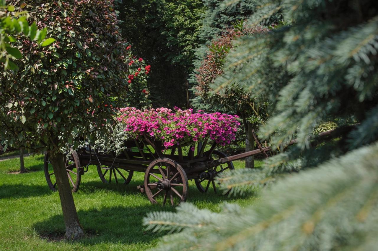 Booking Hotel & Spa Cracovie Extérieur photo The Botanical Garden of the University of Patras