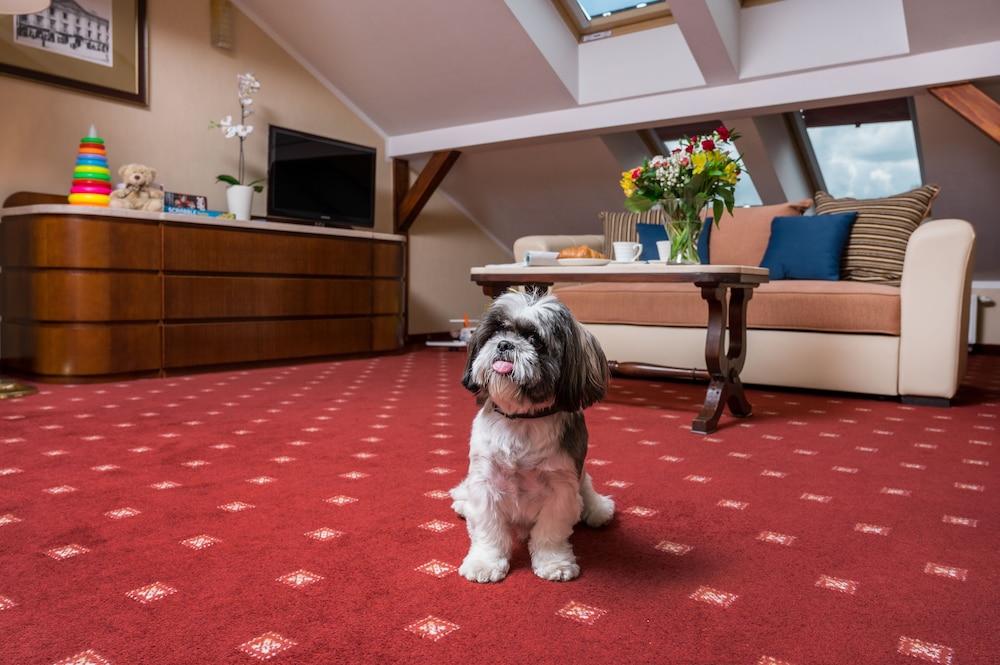 Booking Hotel & Spa Cracovie Extérieur photo A carpet in a living room
